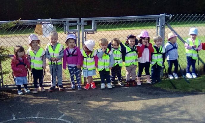 Bumblebees class