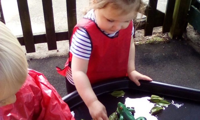 Children learning about life cycles