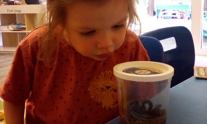 Butterflies Nursery Student Looking After Caterpillar