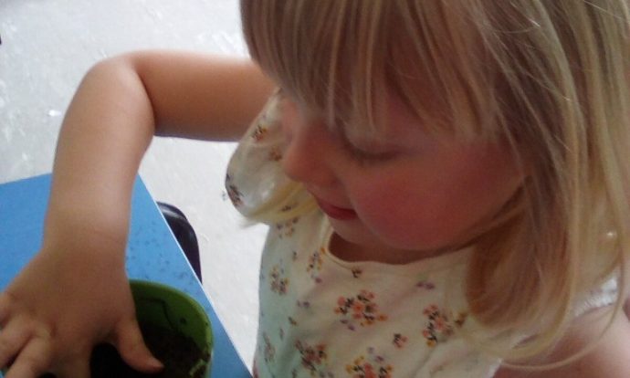 Dragonflies Nursery Student Planting Sunflower