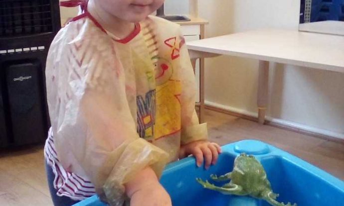 Butterflies Nursery Room Learning About Sea Creatures