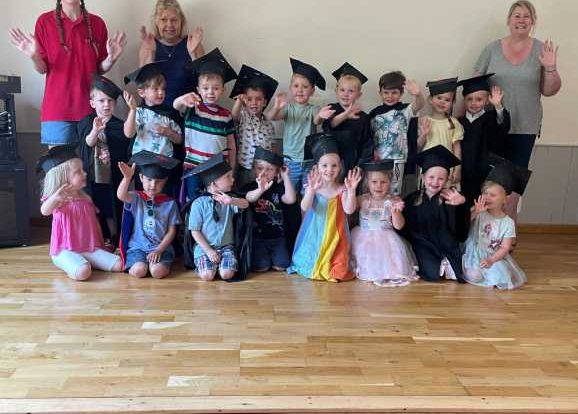Graduation Party For Dragonflies Nursery Room