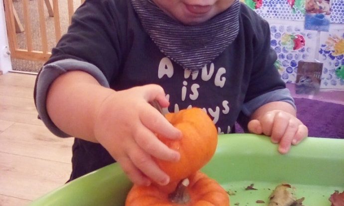 child playing with a pumpkin
